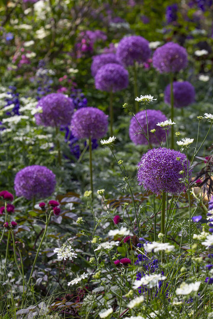 Green Meadow Furniture at RHS Chelsea Flower Show 