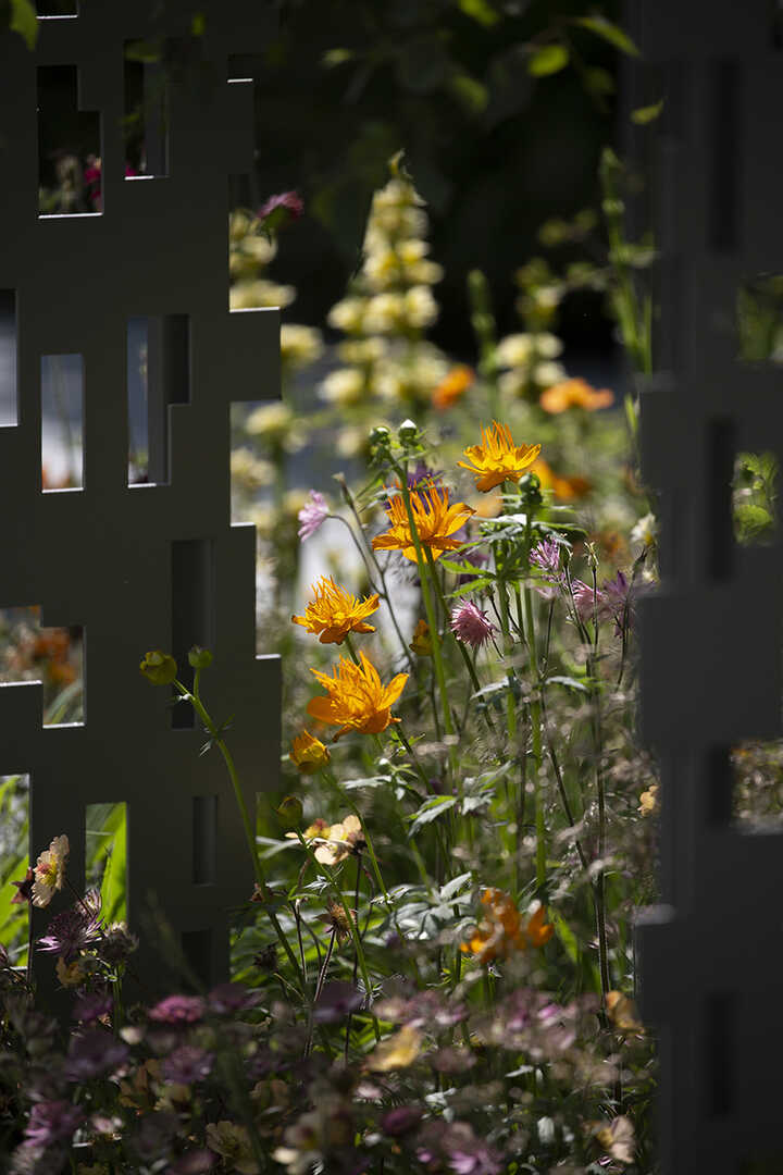 Green Meadow Furniture at RHS Chelsea Flower Show 