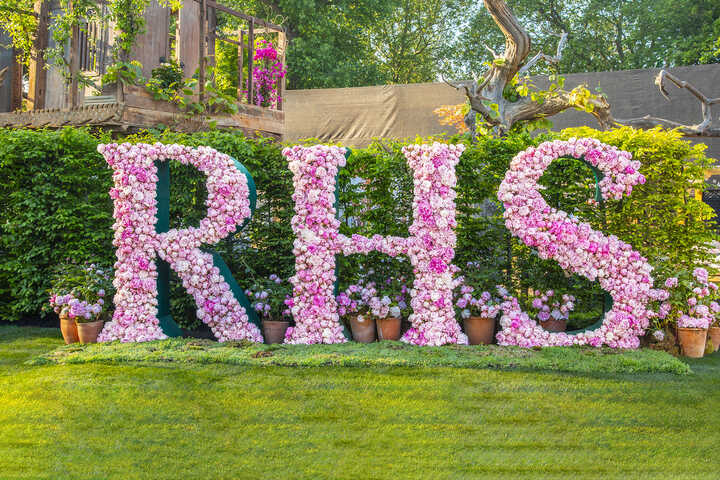 Green Meadow Furniture at RHS Chelsea Flower Show 